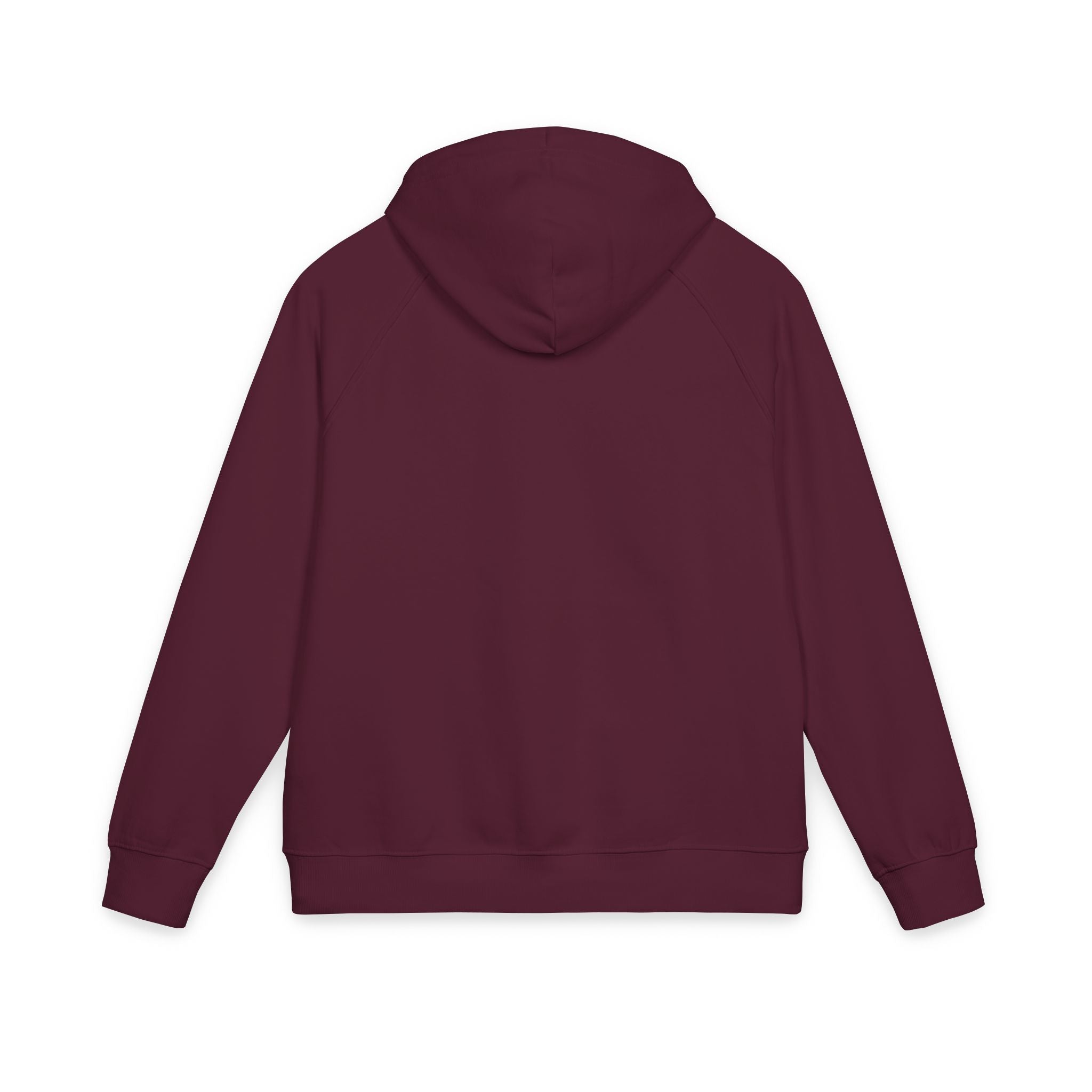 Unisex Eco Raglan Hoodie (Embroidery)